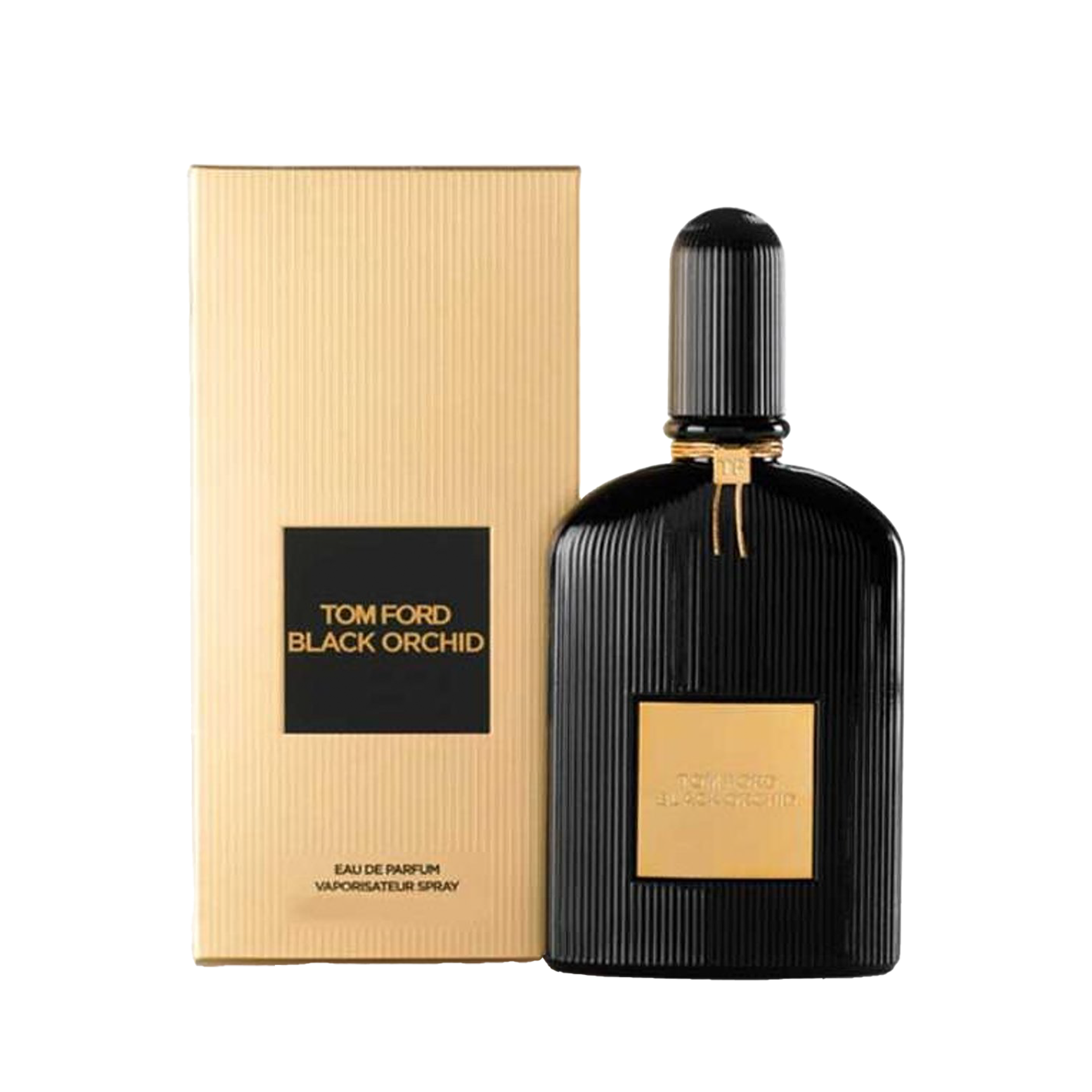 Black Orchid