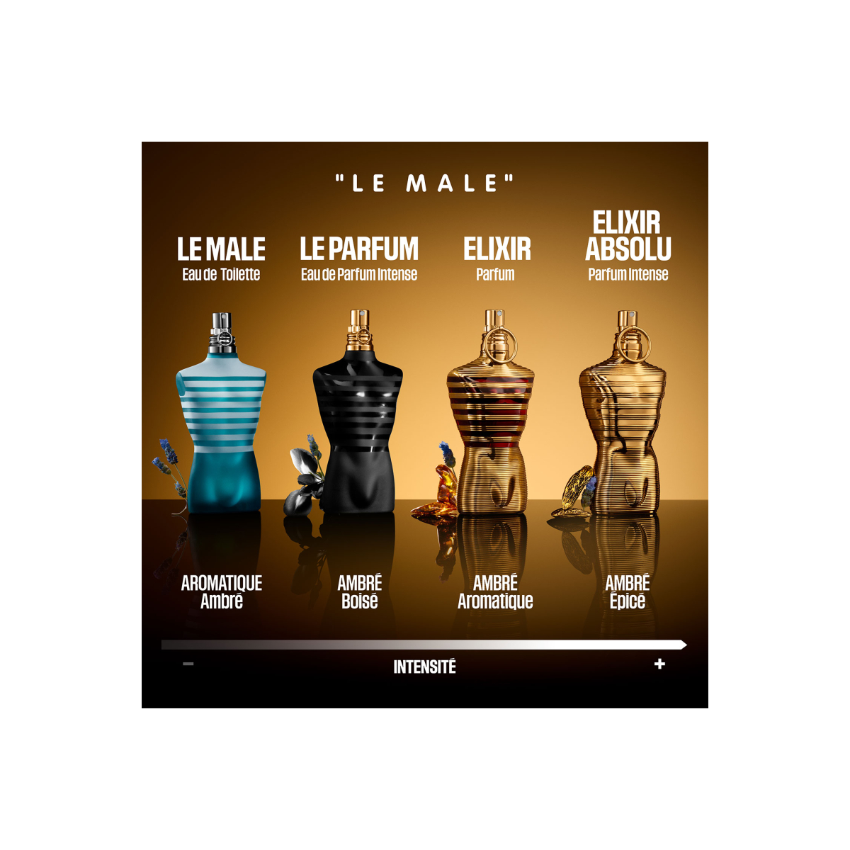 LE MALE ELIXIR ABSOLU With Box