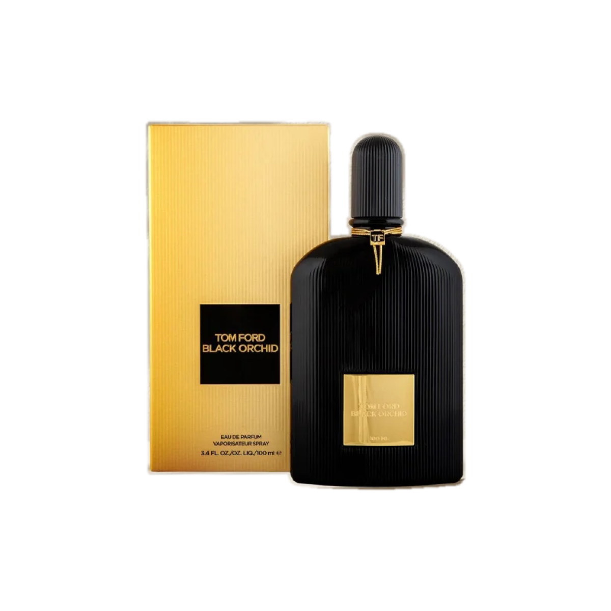 Black Orchid With Box